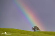 Workshops, June 18, 2019, 06/18/2019, Finishing Your Photos: How to Take a Good Photo and Make It Great