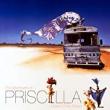 Films, June 20, 2019, 06/20/2019, The Adventures of Priscilla, Queen of the Desert (1994): Cross-Dressing Comedy with Hugo Weaving, Guy Pearce, Terence Stamp (Outdoors)