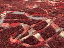Opening Receptions, June 06, 2019, 06/06/2019, RAF's Red Plaid: New Works