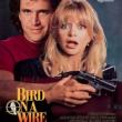 Films, July 18, 2019, 07/18/2019, Bird on a Wire&nbsp;With Mel Gibson And Goldie Hawn (1990): Her Ex Is Working For FBI