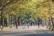Tours, July 27, 2019, 07/27/2019, Natural Areas Ecology Tour