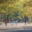 Tours, July 27, 2019, 07/27/2019, Natural Areas Ecology Tour