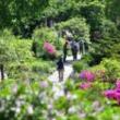 Tours, July 28, 2019, 07/28/2019, Midsummer Botany Walk