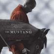 Films, August 10, 2019, 08/10/2019, The Mustang (2019): Rehabilitation With Wild Horses