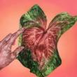 Opening Receptions, July 11, 2019, 07/11/2019, Pool Party: Group Exhibition