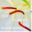 Book Signings, July 25, 2019, 07/25/2019, Oscar- and Tony-Winning Actor Joel Grey Discusses His Art Book The Flower Whisperer