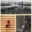 Opening Receptions, July 26, 2019, 07/26/2019, 41st Annual Open Exhibition in Photography