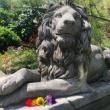Festivals, July 20, 2019, 07/20/2019, Garden Regeneration Celebration