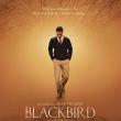 Films, August 10, 2019, 08/10/2019, Blackbird (2014): Young Singer Trying To Find His Identity