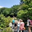 Tours, September 01, 2019, 09/01/2019, Garden Tour