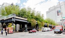 Park Walks, July 23, 2020, 07/23/2020, The High Line Park is Now Open!