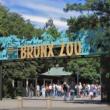 Others, July 24, 2020, 07/24/2020, The Bronx Zoo is Now Open!