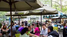 Others, July 26, 2020, 07/26/2020, Play Board Games in a Park (in-person)