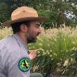 Discussions, August 19, 2020, 08/19/2020, Backyard Adventures: Exploring NYC Parks