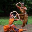 Dance Performances, August 15, 2020, 08/15/2020, 39th Annual Dance Festival: Indian Dance