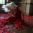 Dance Performances, August 18, 2020, 08/18/2020, 39th Annual Dance Festival: Isadora Duncan, Doris Humphrey, and Others