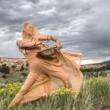 Dance Performances, August 20, 2020, 08/20/2020, 39th Annual Dance Festival: From North America