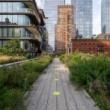 Park Walks, September 08, 2020, 09/08/2020, The High Line Park's Reopening Extended Further!