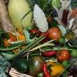 Fairs, September 26, 2020, 09/26/2020, Harvest Fair: Workshops on Gardening, Cooking and More (virtual)&nbsp;