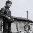 Films, October 26, 2020, 10/26/2020, Sorrow Even Up in Heaven (1965): Korean Classic (virtual)
