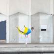 Dance Performances, October 28, 2020, 10/28/2020, New York City Ballet:&nbsp;New Works Festival (virtual)