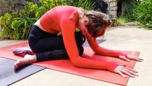 Workshops, January 31, 2021, 01/31/2021, Yin Yoga: Meditative and Slow-Paced (virtual)