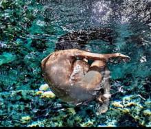Opening Receptions, April 20, 2021, 04/20/2021, (IN-PERSON) Earth Photography, Group Exhibition