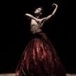 Screenings, June 08, 2021, 06/08/2021, Flowers: Performance Art from Singapore (virtual)