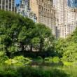 Park Walks, June 01, 2021, 06/01/2021, Welcome Tour of Southern Central Park (virtual)