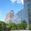 City Walks, August 14, 2021, 08/14/2021, Battery Park City: 'Green Guidelines', Teardrop Park and More