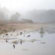 Opening Receptions, July 01, 2021, 07/01/2021, FOGseries: Mystical, Dream-Like Photographs