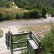 Tours, June 26, 2021, 06/26/2021, (IN-PERSON, outdoors) Fort Tilden History, Art and Nature Tour
