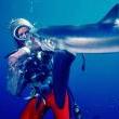 Films, June 27, 2021, 06/27/2021, Playing with Sharks (2021): Documentary with The Icon in Underwater Filmmaking (In-Person)