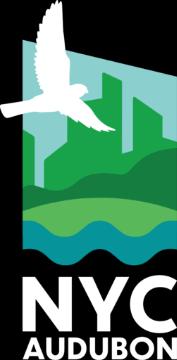 Birdwatchings, October 09, 2021, 10/09/2021, Island Bird Walk