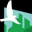 Birdwatchings, September 11, 2021, 09/11/2021, Island Bird Walk