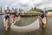 Workshops, July 10, 2021, 07/10/2021, Public Seining