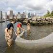 Workshops, September 18, 2021, 09/18/2021, Public Seining