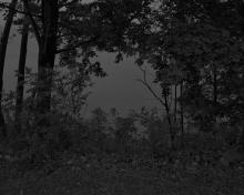 Gallery Talks, July 08, 2021, 07/08/2021, Narrative Materiality: An Artist Talk (virtual)
