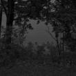 Gallery Talks, July 08, 2021, 07/08/2021, Narrative Materiality: An Artist Talk (virtual)