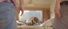 Movie in a Parks, July 14, 2021, 07/14/2021, Mandibles (2020): French-Belgian Comedy