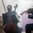 Concerts, July 14, 2021, 07/14/2021, Grammy-Nominated String Quartet: 'Elegant, inquisitive' - The New Yorker (virtual, streaming until 5 pm)
