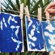 Workshops, July 24, 2021, 07/24/2021, Cyanotype Workshop