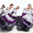 Dance Performances, August 07, 2021, 08/07/2021, Mexican Dance Festival