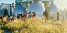 Festivals, July 31, 2021, 07/31/2021, Wildflowers Festival: Performances, Art, Tours, Activities on a Rooftop