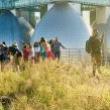 Festivals, July 31, 2021, 07/31/2021, Wildflowers Festival: Performances, Art, Tours, Activities on a Rooftop