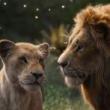 Movie in a Parks, July 31, 2021, 07/31/2021, The Lion KIng (2019): Remake with the Voices of Beyonc&eacute; and Seth Rogen