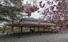 Talks, August 24, 2021, 08/24/2021, Restoring Prospect Park&rsquo;s Concert Grove Pavilion (virtual)