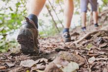 Hikes, November 21, 2021, 11/21/2021, Park Highlights Hike