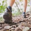 Hikes, November 27, 2021, 11/27/2021, Fall Ecology Hike
