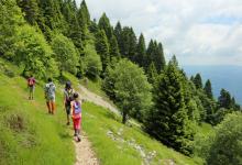 Hikes, March 05, 2022, 03/05/2022, Northern Manhattan Parks Super Hike